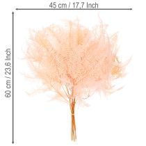 gjenstander Tørkede bregneblader, bregnedekorasjon til vaser, 60 cm, 10 stk.