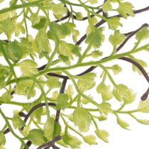 gjenstander Kunstig grønn Ruscus-gren til blomsterdekorasjon, 41 cm