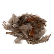 gjenstander Fjær for allsidige håndverksideer, kreativ design og dekorasjonsideer, 5 cm, 3 g