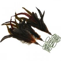 gjenstander Fargerik fjærdekor på tråd vår vårdekor H35cm 3stk