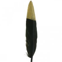 gjenstander Dekorative fjær svarte, gull ekte fjær for håndverk 12-14cm 72stk