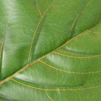 gjenstander Kunstig Ficus lyrata 120 cm dekorativ til stue