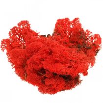 Deco mose rød reinsdyrmose til husflid 400g