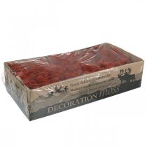 gjenstander Dekorativ moserød Siena naturmose for håndverk Tørket, farget 500g