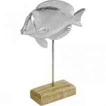 Fisk til plass, maritim dekorasjon, dekorative fisk laget av metall sølv, naturlige farger H23cm