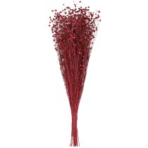gjenstander Lin Bordeaux røde tørkede dekorasjonsblomster L55cm 80g
