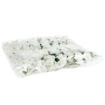 gjenstander Skumrose Ø 3,5cm hvit 48 stk