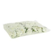 gjenstander Skumrose Ø3,5 cm kremfarget 48 stk