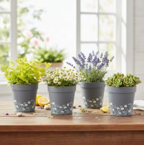 gjenstander Blomsterpotte med blomstermønster for moderne hjem og sommerdekorasjon av balkong, 13 cm, 4 stk.