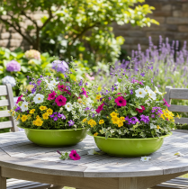 gjenstander Plantebrett for attraktiv plantedekorasjon i stuen, 29 cm, 2 stk.