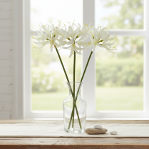 gjenstander Nerine Guernsey Lily Kunstig Blomst Hvit Gul Ø15cm L65cm