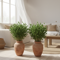 gjenstander Tørket Lagurus (Harehalegress) 65–70 cm 100 g