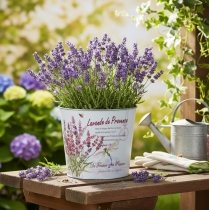 gjenstander Metallplantekasse, blomsterpotte, lavendel, Ø21 cm H18 cm