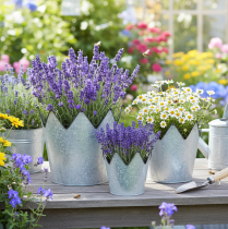 gjenstander Blomsterpottekrone metall dekorativ sink Ø21,5/19,5/17 cm sett med 3