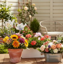 gjenstander Vannkanne dekorative staker for blomsterbuketter og balkongblomsterdekorasjon, 34 cm, 12 stk.