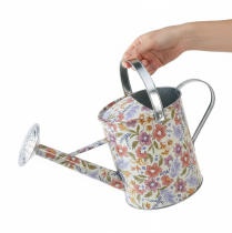 gjenstander Dekorativ vannkanne i metall, vintage blomsterpotte, Ø18 cm