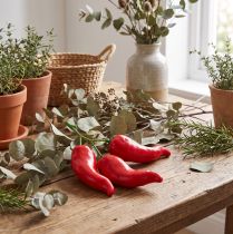 gjenstander Matdukke med rød chilipepper, 9 cm på grenen