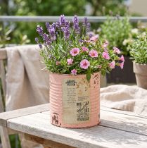gjenstander Blomsterpotte dekorativ boks laks metall sommerdekorasjon Ø11cm H10.5cm