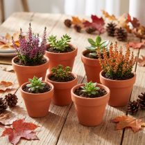 gjenstander Leirblomsterpotte, Ø5 cm, høyde 4 cm, 10 stk.