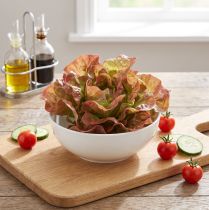 gjenstander Kunstsalat Lollo Rosso dekorativt salathode Ø20cm