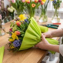 gjenstander Florist crepe papir mai grønn 50x250cm