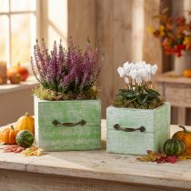 gjenstander Plantekasse treskuff lysegrønn 15x15/12x12cm sett med 2 stk