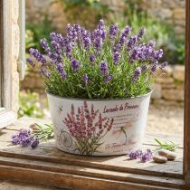 gjenstander Plantekar lavendel plast blomsterskål rund Ø21cm H11cm