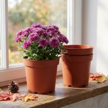 gjenstander Plantepotte plast Ø17cm 10stk