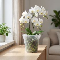 gjenstander Plastgryte “Irys” transparent Ø17cm 1 stk