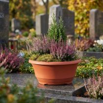 gjenstander Plastblomsterskål Ø20cm blomsterskål terrakotta 5 stk