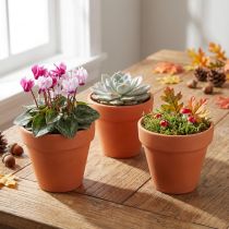 gjenstander Blomsterpotte leire Ø6cm høy 5cm 10stk