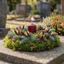 gjenstander Villlilje Naturlig Dekorasjon Eksotiske Tørkede Blomster 6-8cm 50 stk