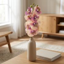 gjenstander Orchid Phalaenopsis kunstig 7 blomster lilla krem 73cm
