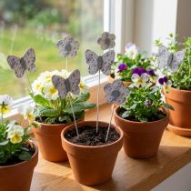 gjenstander Blomsterplugg sommerfuglblomst dekorativ plugg tre 7cm 12 stk