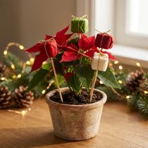 gjenstander Blomsterplugg jule julepakke 2,5cm 15 stk