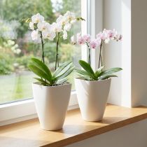 gjenstander Plastblomsterpotte, orkidepotte, hvit, 16,5 cm høy, 2 stk.