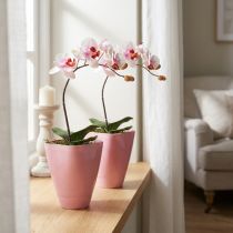 gjenstander Blomsterpotte, plastvase, orkidepotte, rosa, 16,5 cm høy, 2 stk.
