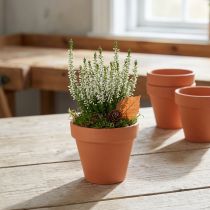 gjenstander Blomsterpotte leire Ø8cm høy 7cm 10stk