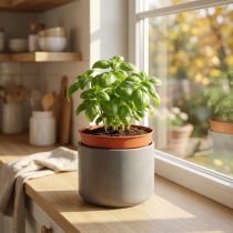 gjenstander Plantepotte plast innerpotte Ø10,5cm 10stk