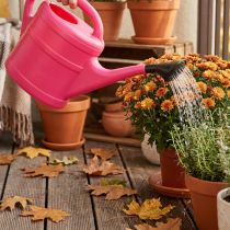 gjenstander Rosa vannkanne, 5 l