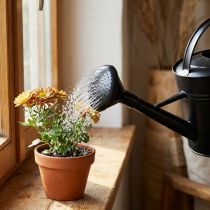 gjenstander Vannkanne dusj svart 5l