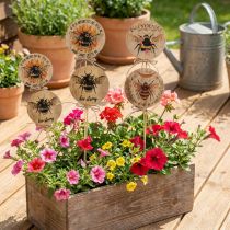 gjenstander Blomsterplugg trebi dekorativ plugg med ordtak 7x27,5cm 12 stk.