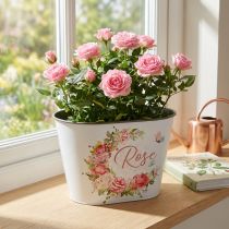 gjenstander Plantekar, dekorative potteroser, blomsterskål L19cm H12,5cm