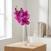 gjenstander Orchid Artificial Phalaenopsis 4 blomster Fuchsia 72cm
