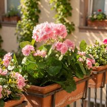 gjenstander Geranium kunstig blomst Rosa geranium busk kunstig 7 blomster H38cm
