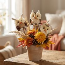gjenstander Ugle dekorative blomsterplugger høstdekor naturlig Ø4cm H8cm 4stk