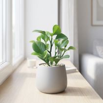 gjenstander Kunstig grønn plante sukkulent kunstgrønn H14cm