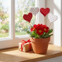 gjenstander Hjerter røde og hvite prikkete blomsterplugger tre 6×5cm 18 stk