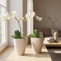 gjenstander Orkidépotte, blomsterpotte, plast, beige marmorert, 13,5x13 cm, H16,5 cm, 2 stk.
