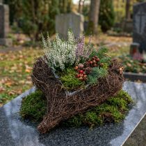 gjenstander Vinehjerte for å plante naturen 30cm x 25cm
